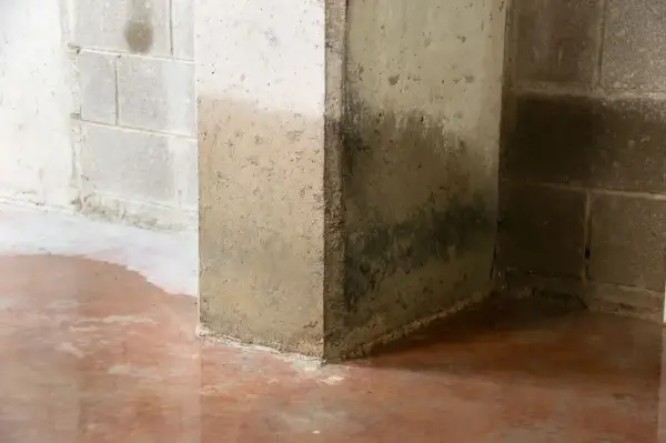 Jak uszczelnić przeciekający beton i zapobiec kosztownym naprawom